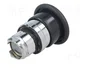 SCHNEIDER ELECTRIC Interruptor de presión Harmony XB4 22mm negro