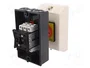SCHNEIDER ELECTRIC Seccionador principal de seguridad TeSys VARIO 25A 3 polos