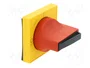 SIEMENS Volante para Interruptores Amarillo, Negro y Rojo