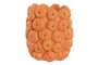 DKD Home Decor Mandarin25 Jarrón Tropical Naranja Cemento 17 x 20 x 17 cm (4 Unidades)