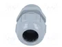 LAPP Sello aislante SKINTOP® ST NPT NPT3/4 de poliamida