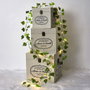 Home Deco Factory JGO. 3 CAJAS CUADRADAS DECO