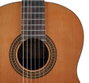Salvador Cortez CC-15 Guitarra Clásica de Cedro y Nogal Negro
