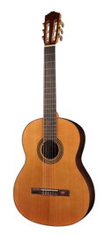 Salvador Cortez CC-15 Guitarra Clásica de Cedro y Nogal Negro