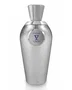 V Canto Psiche Extracto de perfume Unisex 100 ml