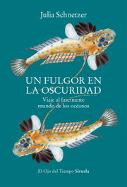 Siruela, Un fulgor en la oscuridad - Julia Schnetzer