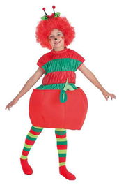 Creaciones Llopis Disfraz Infantil Gusano y Manzana T-0 (2-3 Años)