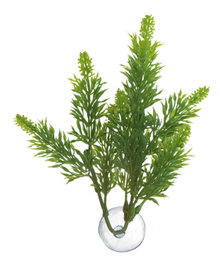 Nayeco Betta Plant Salvia Vet