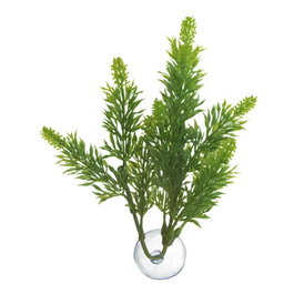 Nayeco Betta Plant Salvia, 325g