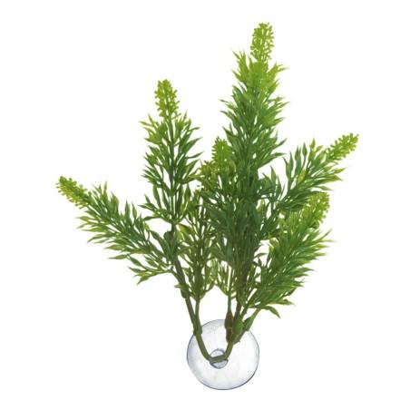 Nayeco Betta Plant Salvia, 325g Nayeco Betta Plant Salvia, 325g