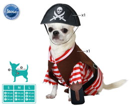 Disfraz para Ascota Pirata