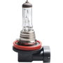 M-Tech Lámpara Halógena H11 PGJ19-2 12V/55W