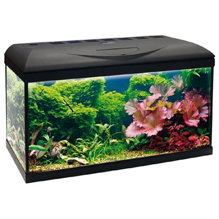 Nayeco Acuario Poseidon Riviera Basic 80 - 85 L con Iluminación y Filtro Interno