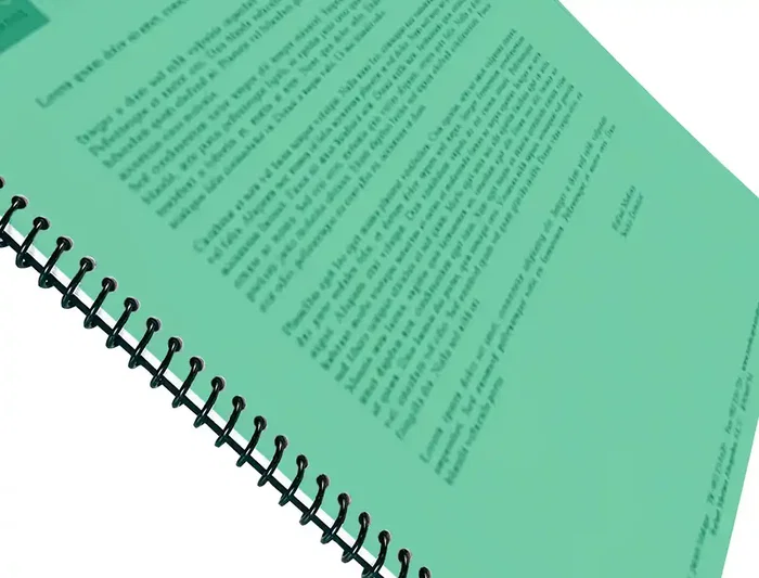 Liderpapel Tapas Encuadernacion Polipropileno A4 0.5 mm Verde Translucido Paquete 100 Unidades