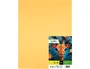 Liderpapel Cartulina Oro 50x65 cm 180 g (25 hojas)