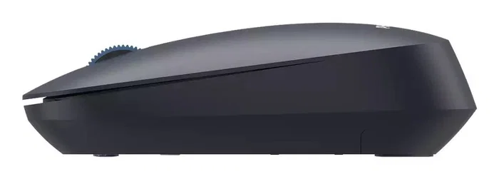 Philips Mouse Wireless SPK7438L Multi-device Negro