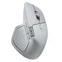 Ratón Logitech 910-007563 Gris