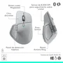 Ratón Logitech 910-007563 Gris
