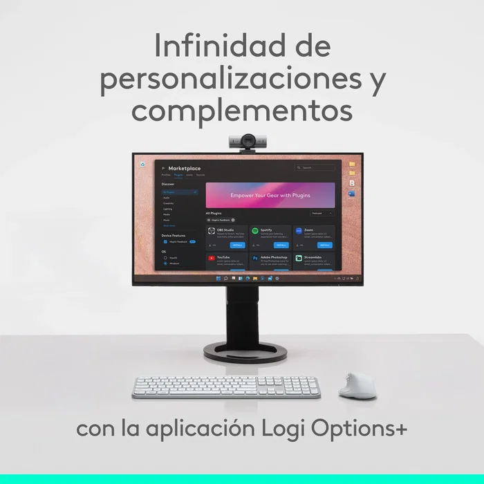 Ratón Logitech 910-007563 Gris