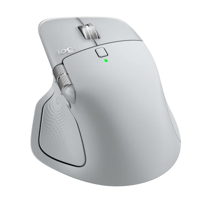 Ratón Logitech 910-007563 Gris