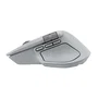 Ratón Logitech 910-007563 Gris