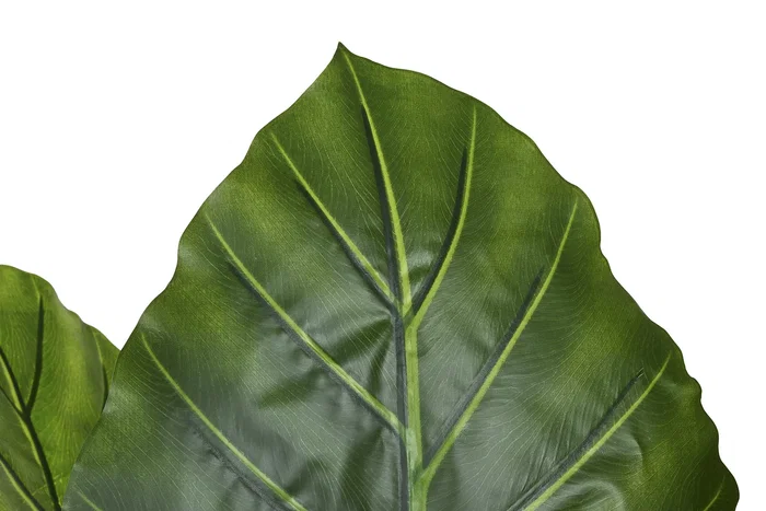 DKD Home Decor Planta Taro Verde 80x80x180 cm