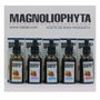 MAGNOLIOPHYTHA Aceite de Rosa Mosqueta con Ácido Hialurónico