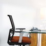 PIQUERAS Y CRESPO Silla de oficina Yunquera con mecanismo Sincro, Pistacho y Negro