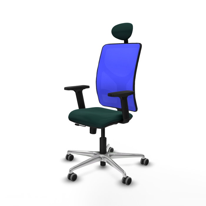PIQUERAS Y CRESPO Silla de oficina Motilla con mecanismo Sincro/Traslack Verde botella y Azul