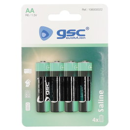GSC Evolution Pila Salina R6 (AA) Blíster 4ud