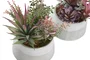 DKD Home Decor Planta de PP y Espuma Surtida 17x15,5x24 cm