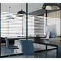 Easy Protec AUC3700613393588 Película Adhesiva para Ventanas Persiana Veneciana 100 x 90 cm