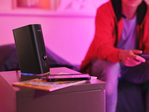 Trust GXT 612 CETIC Negro Altavoces Inalámbrico y Alámbrico 18W Núm. artículo: 24970