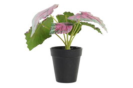 DKD Home Decor Planta PE Verde 10x10x22