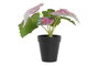 DKD Home Decor Planta PE Verde 10x10x22