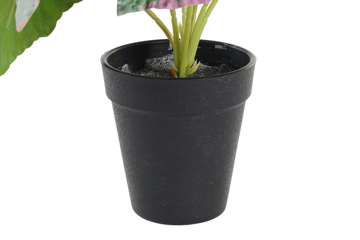 DKD Home Decor Planta PE Verde 10x10x22