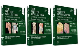 ELSEVIER UK (3VOL). MUSCULOSKELETAL SYSTEM PACKAGE. NETTER COLLECTION