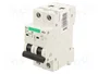 Promfactor Baltic Interruptor magnetotérmico ECO 2 polos 40A