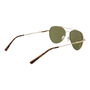 Gafas de Sol Unisex Serengeti SS599005 PETE
