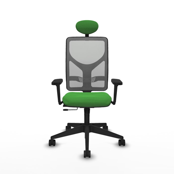 PIQUERAS Y CRESPO Silla de oficina Motilla con mecanismo Sincro/Traslack, Verde y Gris