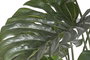 DKD Home Decor Planta PVC Monstera Verde 100x100x133 cm