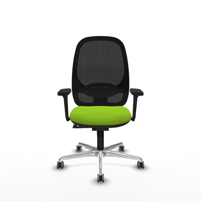 PIQUERAS Y CRESPO Silla de oficina Cilanco con mecanismo Sincro, Pistacho y Negro PIQUERAS Y CRESPO Silla de oficina Cilanco con mecanismo Sincro, Pistacho y Negro