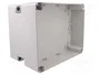 ELEKTRO-PLAST NASIELSK Carcasa Universal Industrial Gris