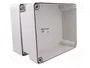 ELEKTRO-PLAST NASIELSK Carcasa Universal Industrial Gris