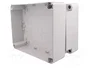 ELEKTRO-PLAST NASIELSK Carcasa Universal Industrial Gris
