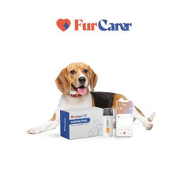 Furcarer Sensor CGM Monitorización Glucosa 1ud