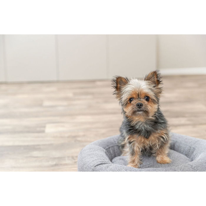 Cama para Perro Trixie Gris Ø 50 cm Cama para Perro Trixie Gris Ø 50 cm