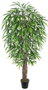 DKD Home Decor Planta Ficus Verde PE 100x100x203 cm