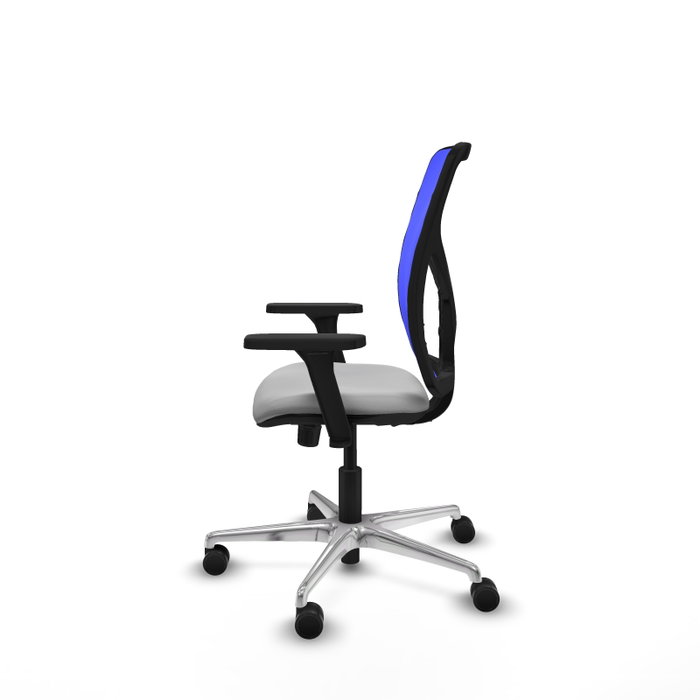 PIQUERAS Y CRESPO Silla de oficina Motilla con mecanismo Sincro, Gris claro y Azul PIQUERAS Y CRESPO Silla de oficina Motilla con mecanismo Sincro, Gris claro y Azul
