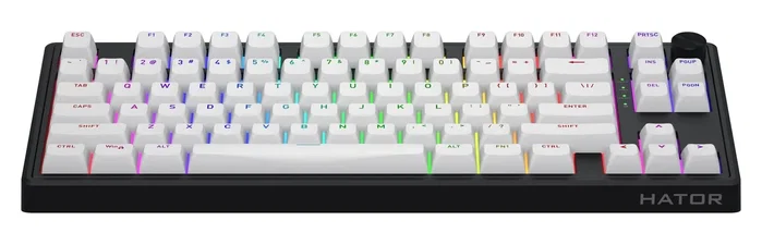 Hator Skyfall 80 Wireless Teclado Mecánico Inalámbrico Blanco-Negro Layout Polaco Hator Skyfall 80 Wireless Teclado Mecánico Inalámbrico Blanco-Negro Layout Polaco